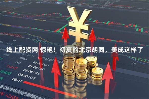 线上配资网 惊艳！初夏的北京胡同，美成这样了